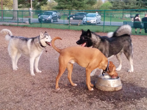 Dog Park «Thomas Bull Memorial Park», reviews and photos, 211 New York 416, Montgomery, NY 12549, USA