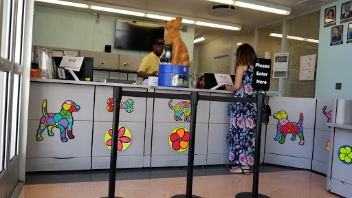 Carson Animal Shelter image