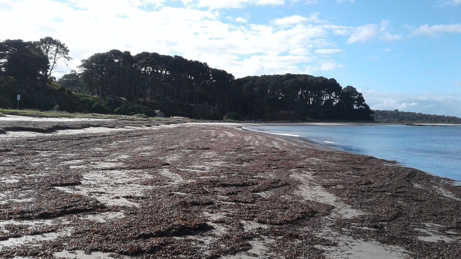 Shoreham Beach photo #9