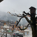 Photo n°14 de l'avis de Flavio.e fait le 11/03/2019 à 23:39 sur le  Hotel Angelo à Andalo