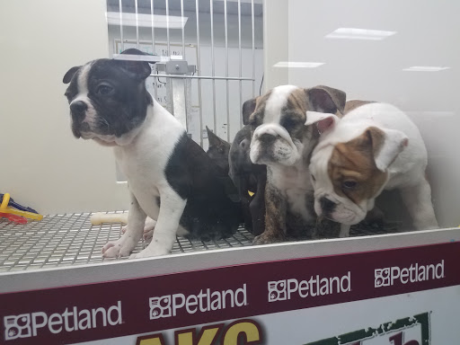 petland near ne