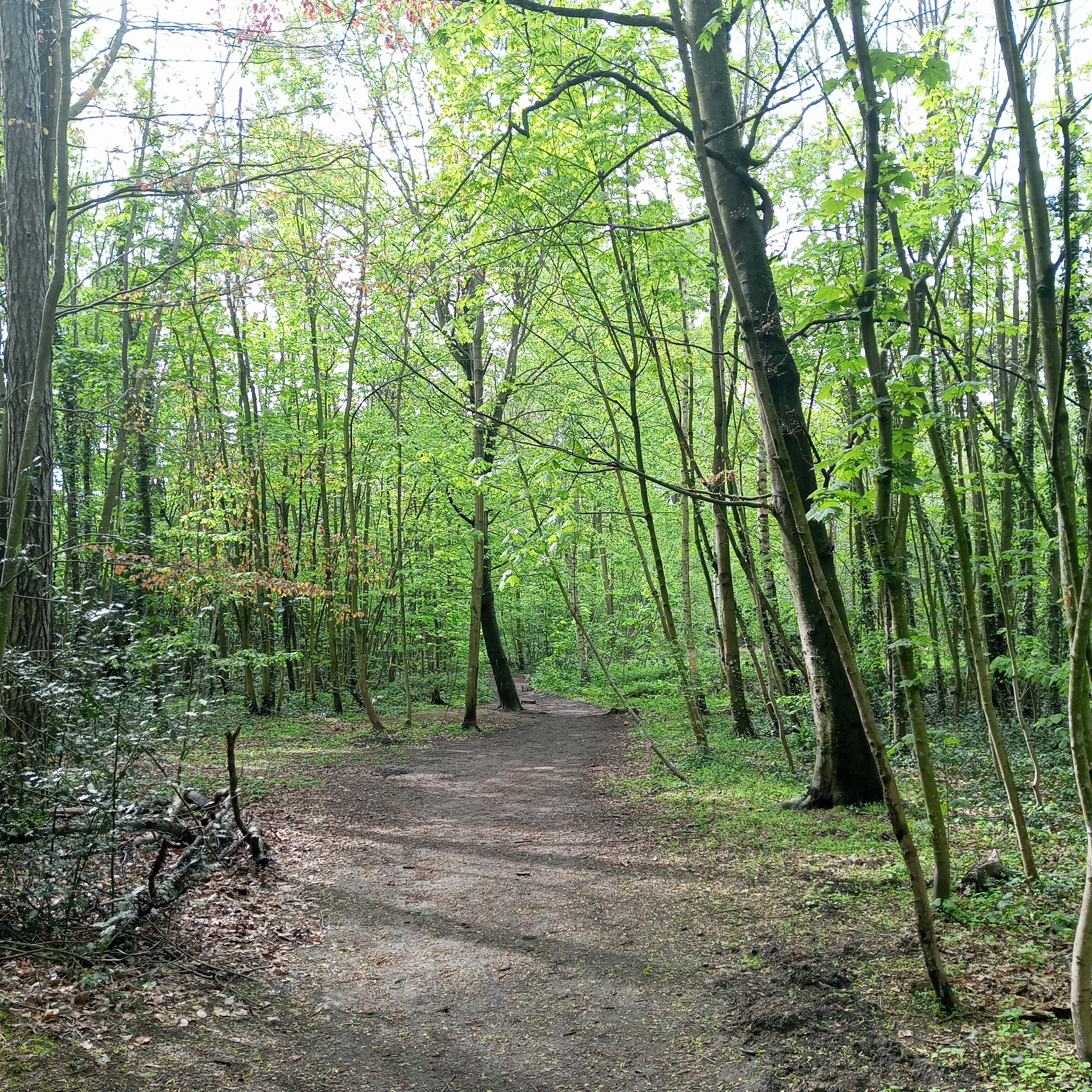 Photo n° 1 de l'avis de abed.l fait le 05/05/2023 à 10:11