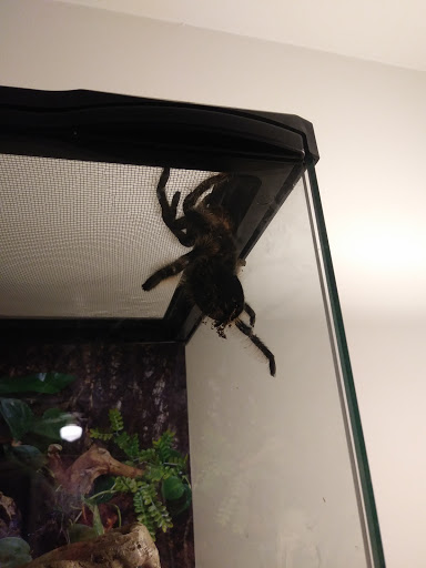 Pet Store «Feed Rite Pet Shop & Supply», reviews and photos, 11760 Belleville Rd, Belleville, MI 48111, USA