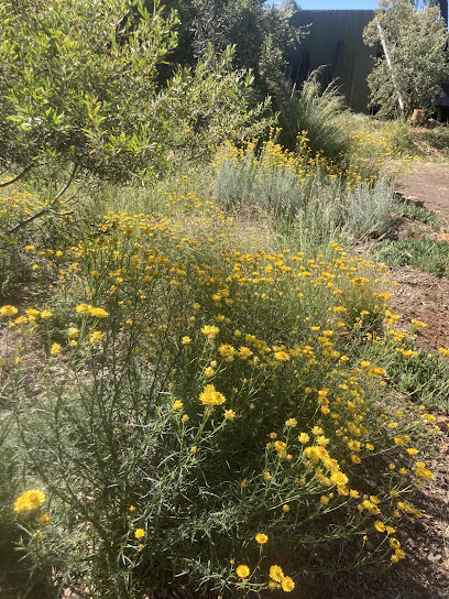 A & B Trees Native Plant Nursery