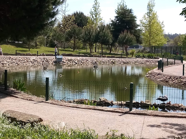 R. de Sourzac, 3720-693