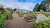 Draycott Plant Nurseries Logo, United Kingdom, Store