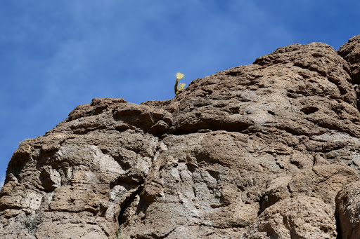 Hiking Area «Monolith Garden Trail», reviews and photos, Metwell Dr, Kingman, AZ 86401, USA