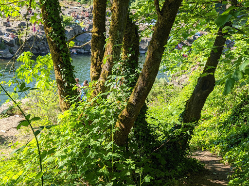Park «High Rocks Park», reviews and photos, 25 82nd Dr, Gladstone, OR 97027, USA