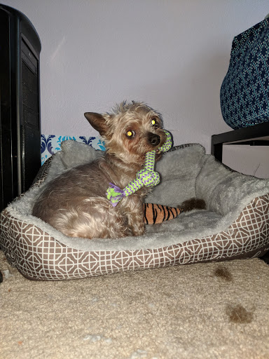 Pet Supply Store «Mud Bay», reviews and photos, 1018 164th St SE, Mill Creek, WA 98012, USA