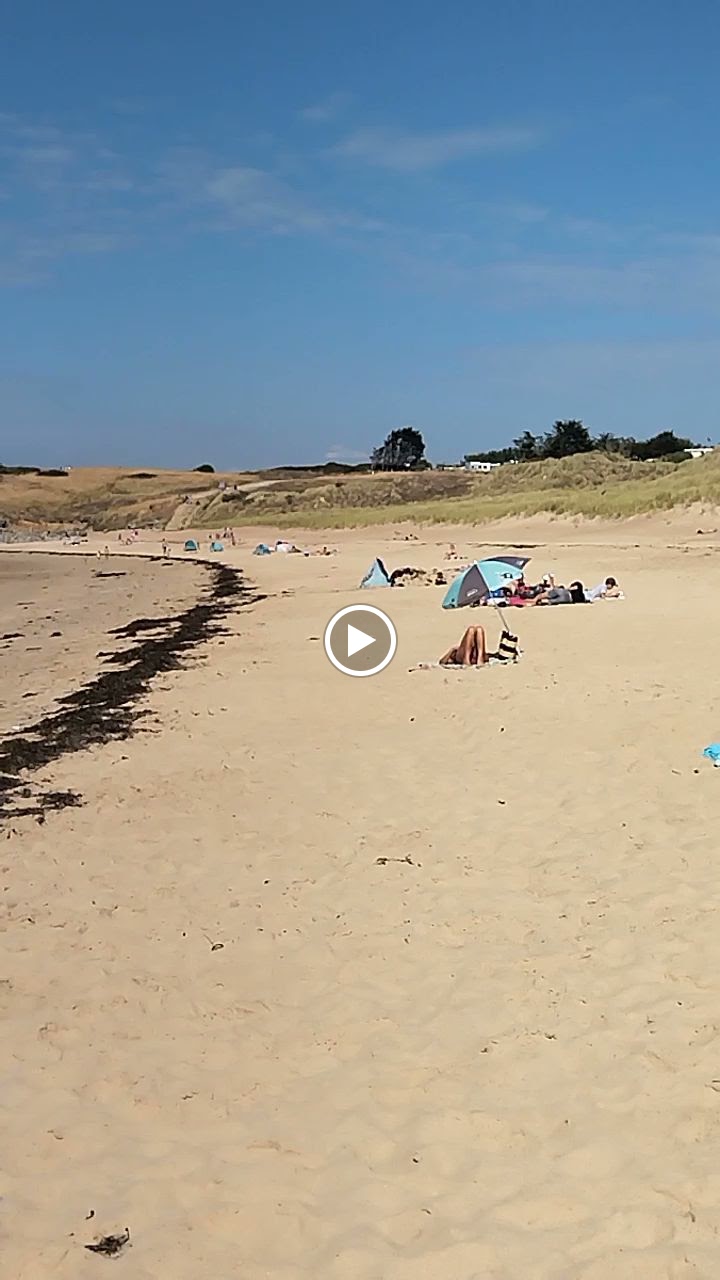 Photo n° 11 de l'avis de Felipe.a fait le 31/07/2022 à 11:41