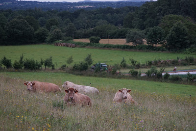 La Ferme d'Avril à Sainte-Gemmes-le-Robert