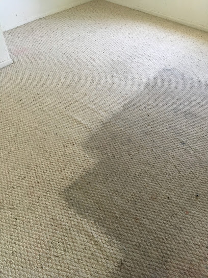 Wildcat Carpet Cleaning
