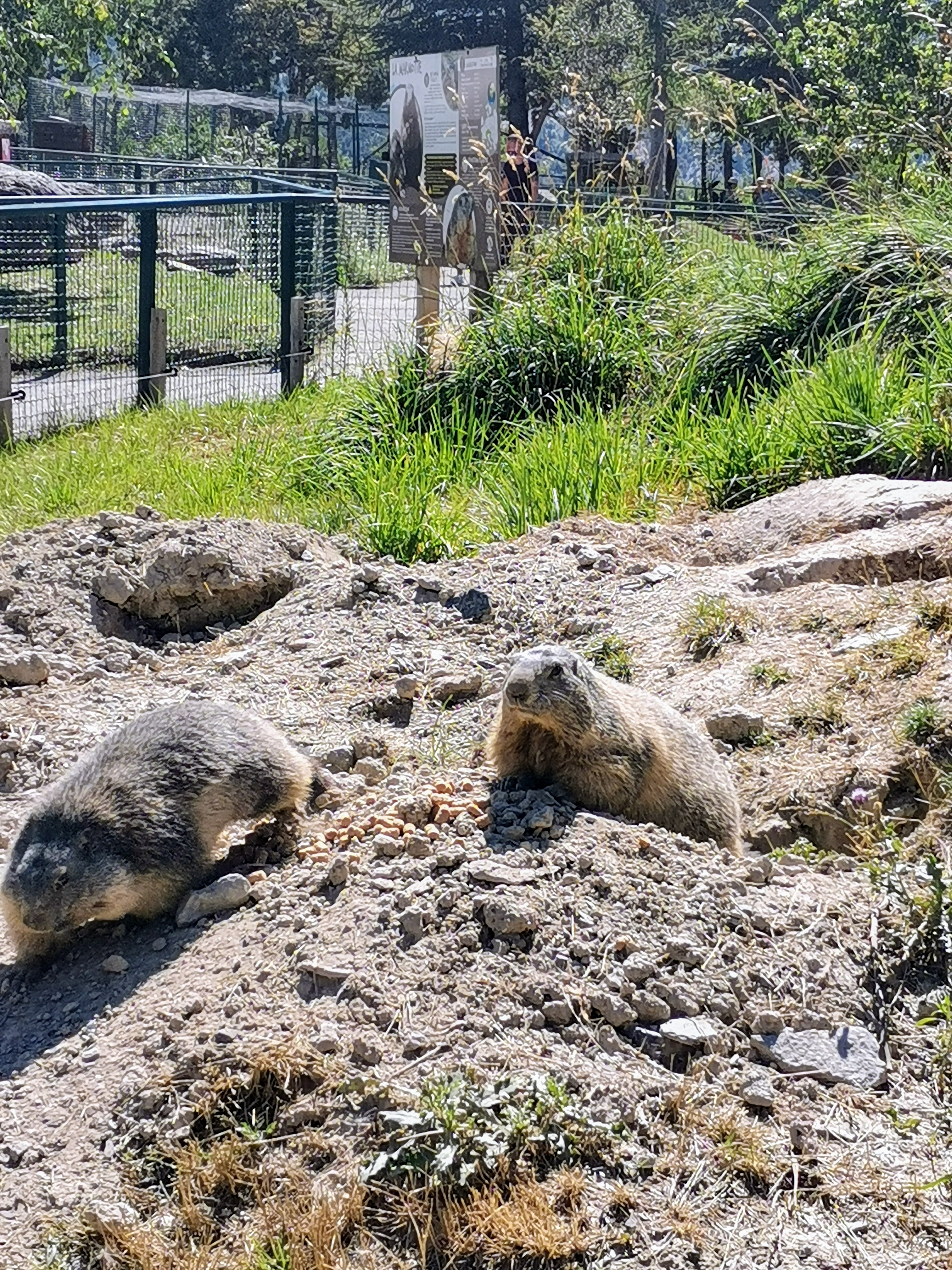 Photo n° 3 de l'avis de Wil.o fait le 06/08/2021 à 23:28
