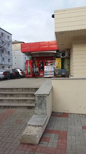 Bulevardul George Enescu, Botoșani, România