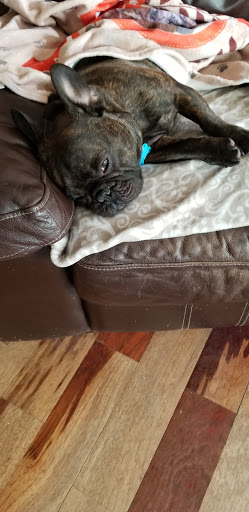 Pet Supply Store «Petco Animal Supplies», reviews and photos, 11639 S Pkwy Plaza Dr, South Jordan, UT 84095, USA