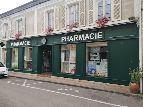 Pharmacie De La Roche à Saint-Sauveur-en-Puisaye