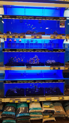 Pet Supply Store «PetSmart», reviews and photos, 16760 Highlands Center Blvd, Bristol, VA 24202, USA