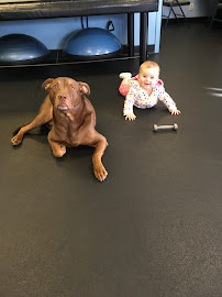 The Motivator - Photo 6 - Car repair in Tucson, AZ, Tucson