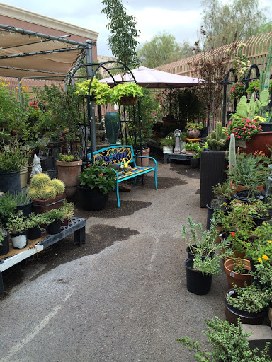 Hardware Store «Desert Foothills Ace Hardware», reviews and photos, 1335 E Chandler Blvd, Phoenix, AZ 85048, USA