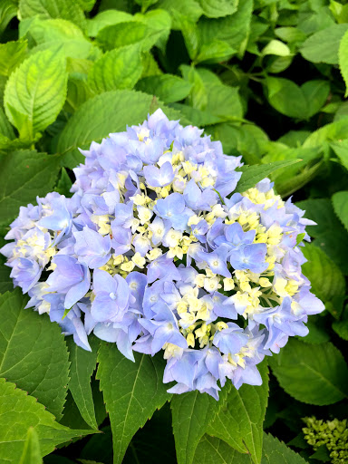 Garden Center «Stonewall Garden Center», reviews and photos, 4675 PA-447, Canadensis, PA 18325, USA