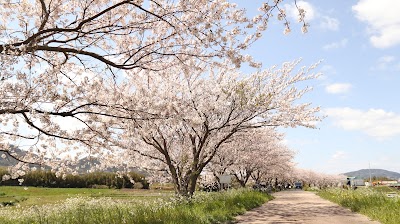 さくら公園