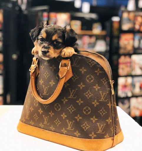 Loan Agency «Mister Money USA», reviews and photos, 1525 8th Ave, Greeley, CO 80631, USA