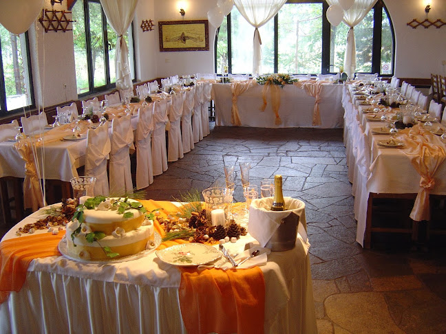 Τ' ΑΡΧΟΝΤΙΚΟ