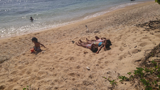 Kammer Beach
