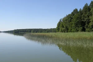 Wet Lake image