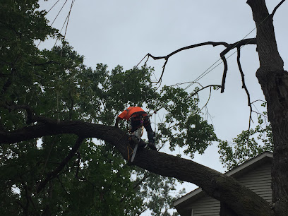 Carr's Tree Service
