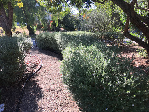 Agustins Irrigation Service image