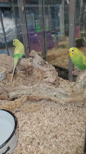 Pet Supply Store «Pets Plus», reviews and photos, 17440 Crenshaw Blvd, Torrance, CA 90504, USA