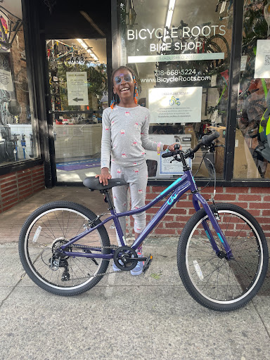 Bicycle Store «Bicycle Roots», reviews and photos, 609 Nostrand Ave, Brooklyn, NY 11216, USA