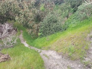 Calafia Beach Park - photo 60