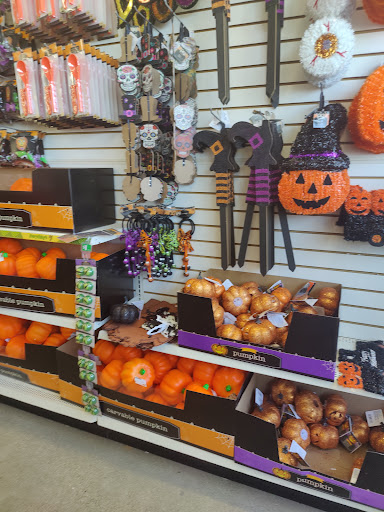 Dollar Store «Dollar Tree», reviews and photos, 8491 Grand River Ave, Brighton, MI 48116, USA