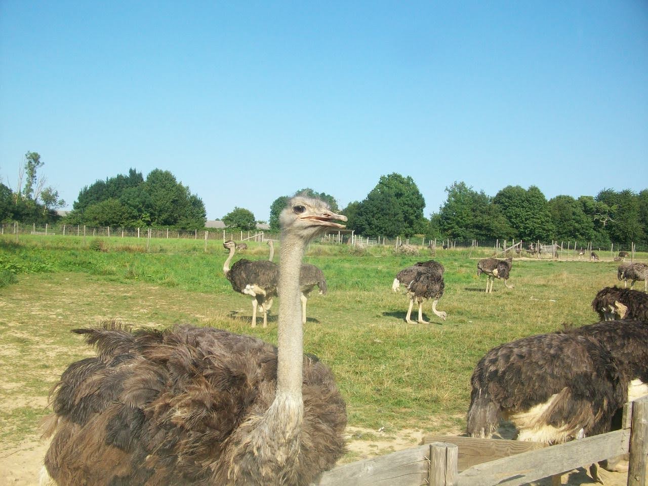 Photo n° 1 de l'avis de Julien.t fait le 07/09/2021 à 19:13