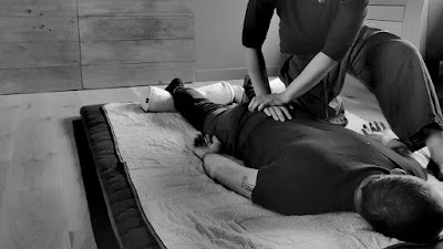 Emilie Morit Shiatsu ( Mori Li Shiatsu) à Loire-Authion