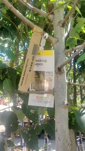 Home Improvement Store «The Home Depot», reviews and photos, 500 S Santa Fe Dr, Denver, CO 80223, USA