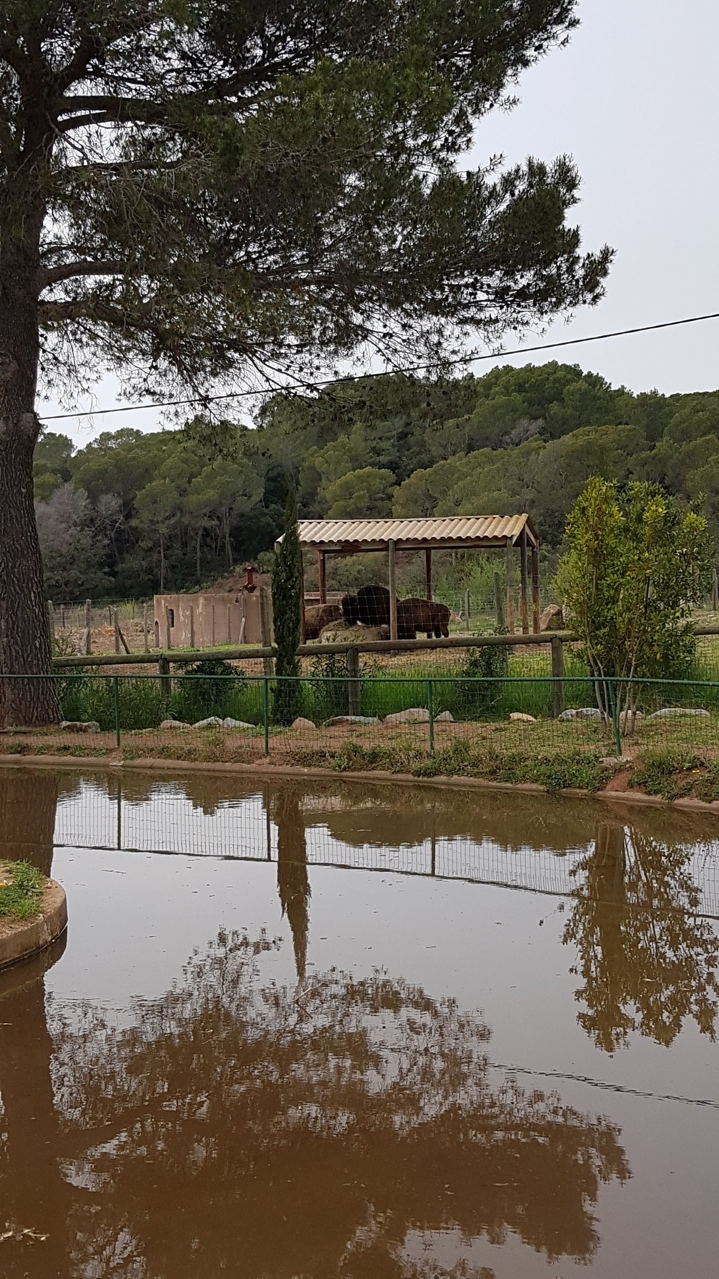 Photo n° 24 de l'avis de Isabelle.e fait le 16/04/2019 à 22:21