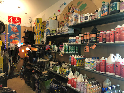 Tropic Bay Water Gardens