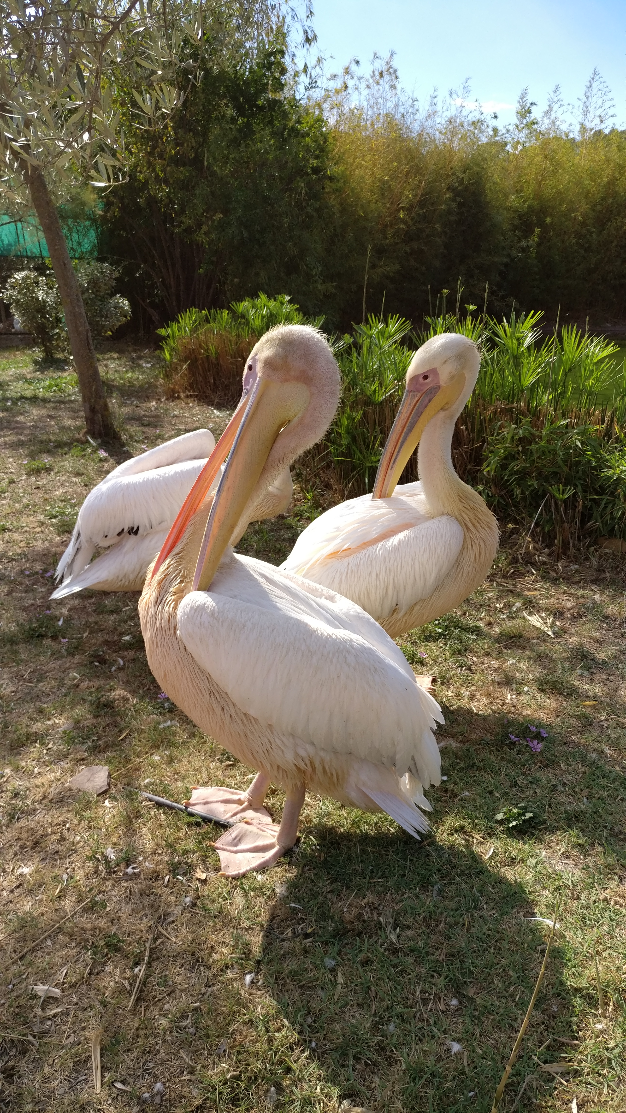 Photo n° 7 de l'avis de Maël.L fait le 10/08/2016 à 11:27