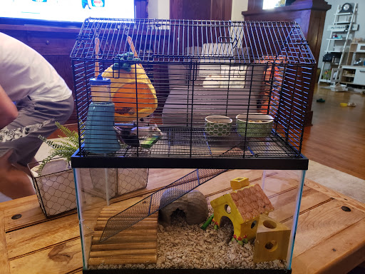 Pet Supply Store «Petco Animal Supplies», reviews and photos, 244 Pioneer Trail, Chaska, MN 55318, USA