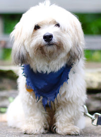 Sittin Pretty - Photo 9 - Car repair in Kissimmee, FL, Kissimmee