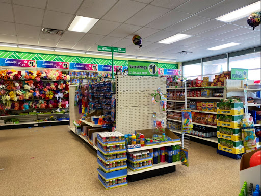 Dollar Store «Dollar Tree», reviews and photos, 8653 Columbus Pike, Lewis Center, OH 43035, USA