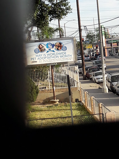 Ice Cream Shop «Boston Cream Doughnut», reviews and photos, 1009 W Anaheim St, Wilmington, CA 90744, USA