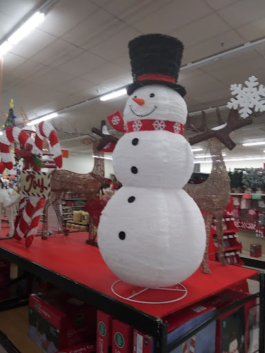 Discount Store «Big Lots», reviews and photos, 150 E Oak St, Conway, AR 72032, USA