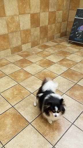 Pet Supply Store «PetSmart», reviews and photos, 104 TX-332, Lake Jackson, TX 77566, USA