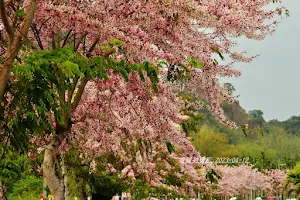 二水花旗木鐵道 image