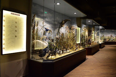 Μουσείο Φυσικής Ιστορίας Μετεώρων και Μουσείο Μανιταριών