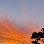 Photo n°5 de l'avis de Fabio.i fait le 18/06/2022 à 15:16 sur le  Hotel Capo Noli à Noli